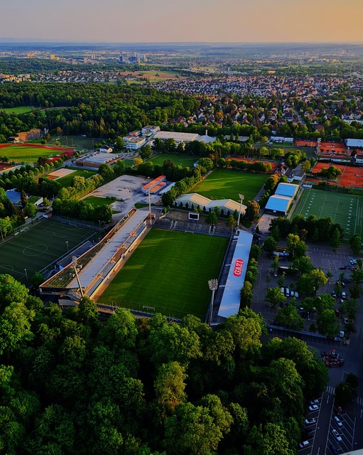 篮球的魅力 篮球的魅力