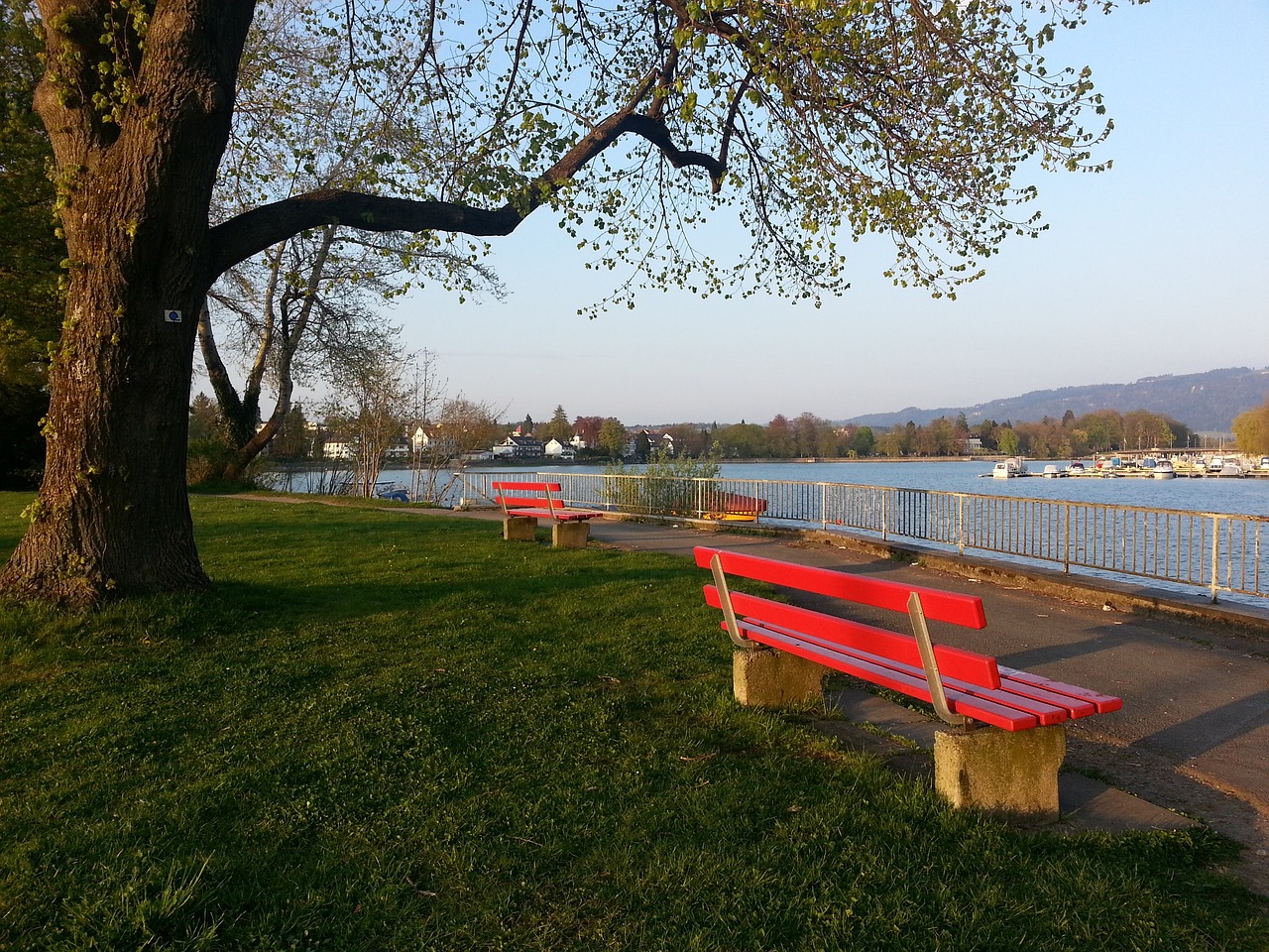 求得分的球 求得分的球