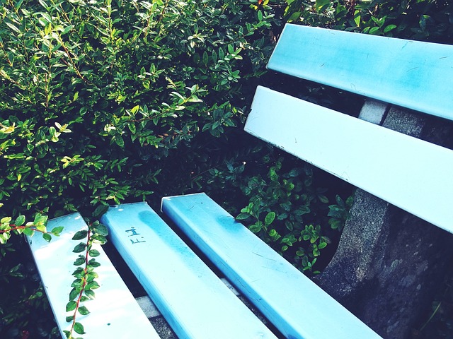 国际赛场上 国际赛场上