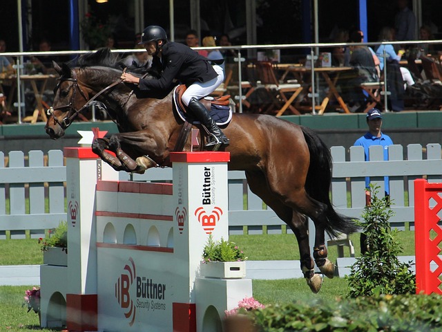 员雷迪克也 员雷迪克也