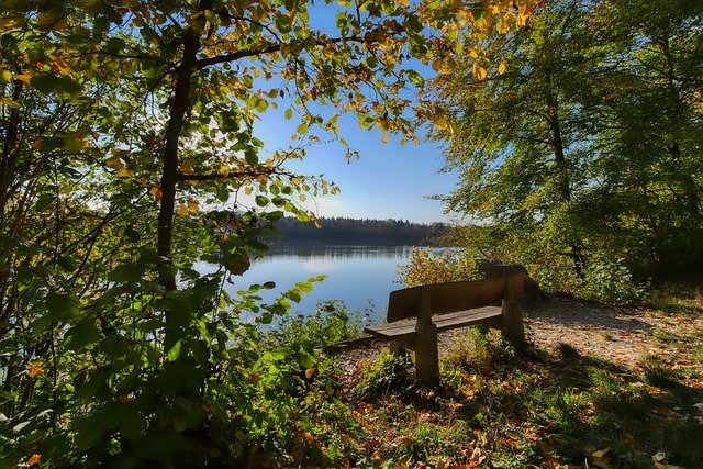其在场上的 其在场上的